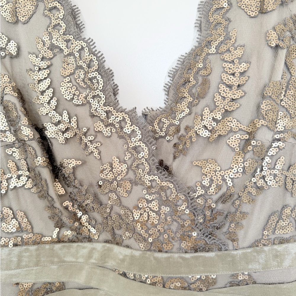 NWT Tadashi Shoji Sequin Lace Sheath Dress in Smoked Pearl
- Size 12 - Picture 3 of 16